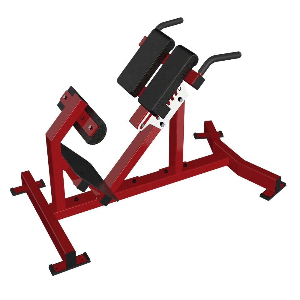 Commercial Sports Exercise Gym Fitness Equipment Free Weight Leg Raise