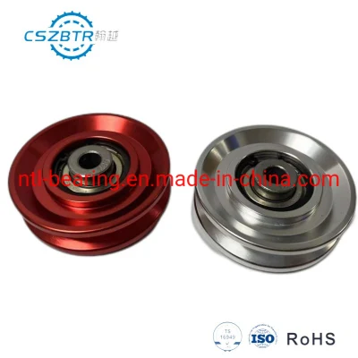 Factory 110mm Diameter Alloy Pulley Bearing Fitness Equipment Accessories